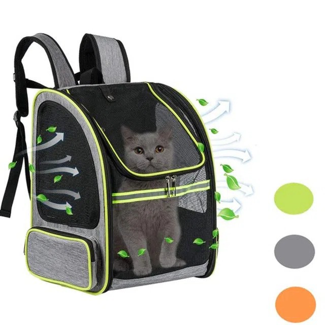 guinea-pig-carrier-bag19443051149