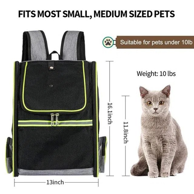 guinea-pig-carrier-bag20188825902